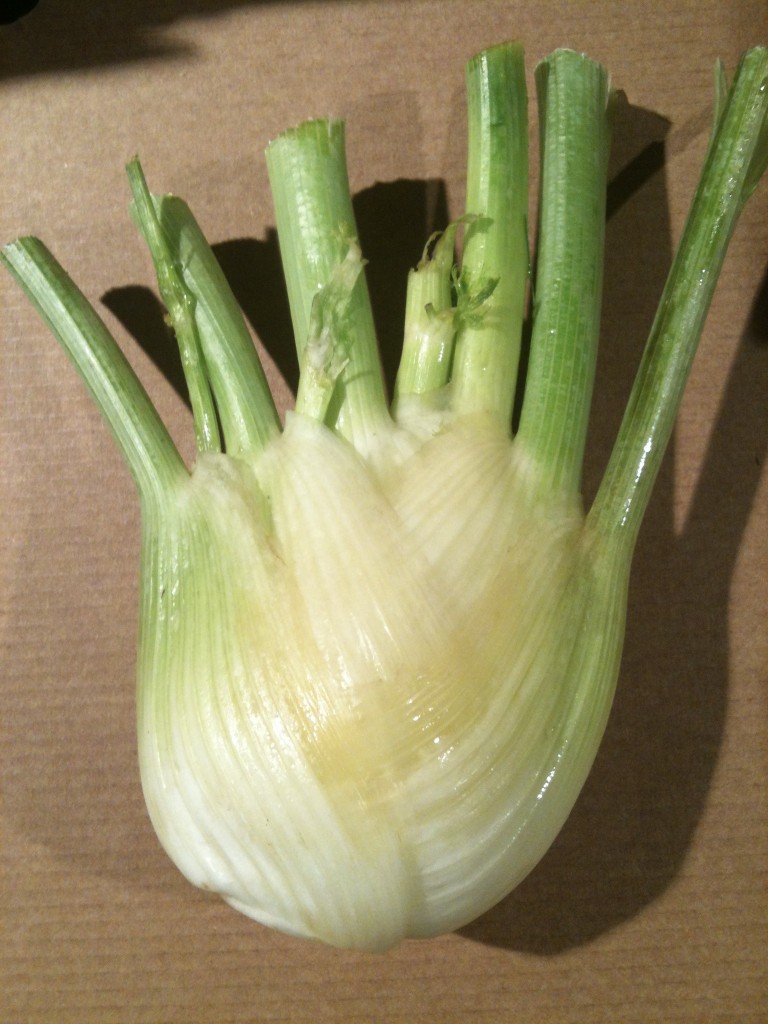 Frostschaden Fenchel