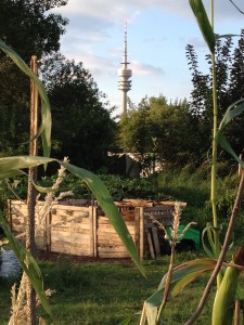 Gemeinschaftsgarten "o'pflanzt is" (Foto: Christa Müller)