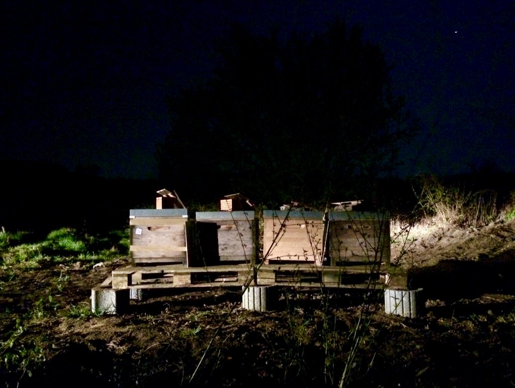 Nach dem Umzug um Mitternacht in Spielberg