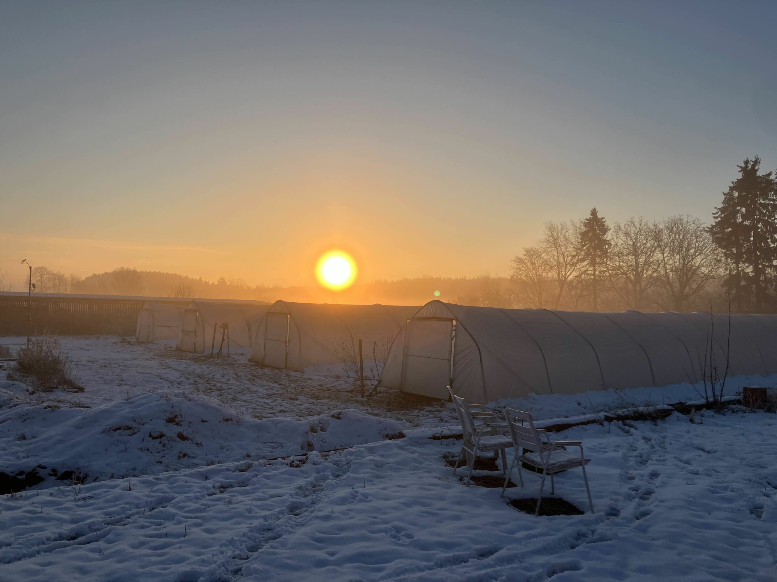 Sonnenaufgang in Spielberg